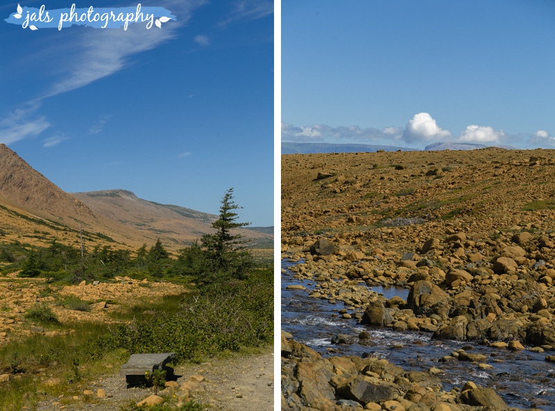 jals - gros morne elopement_0004.jpg