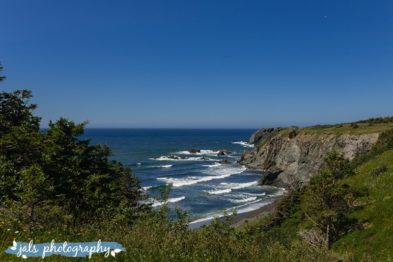 jals - gros morne elopement_0009.jpg