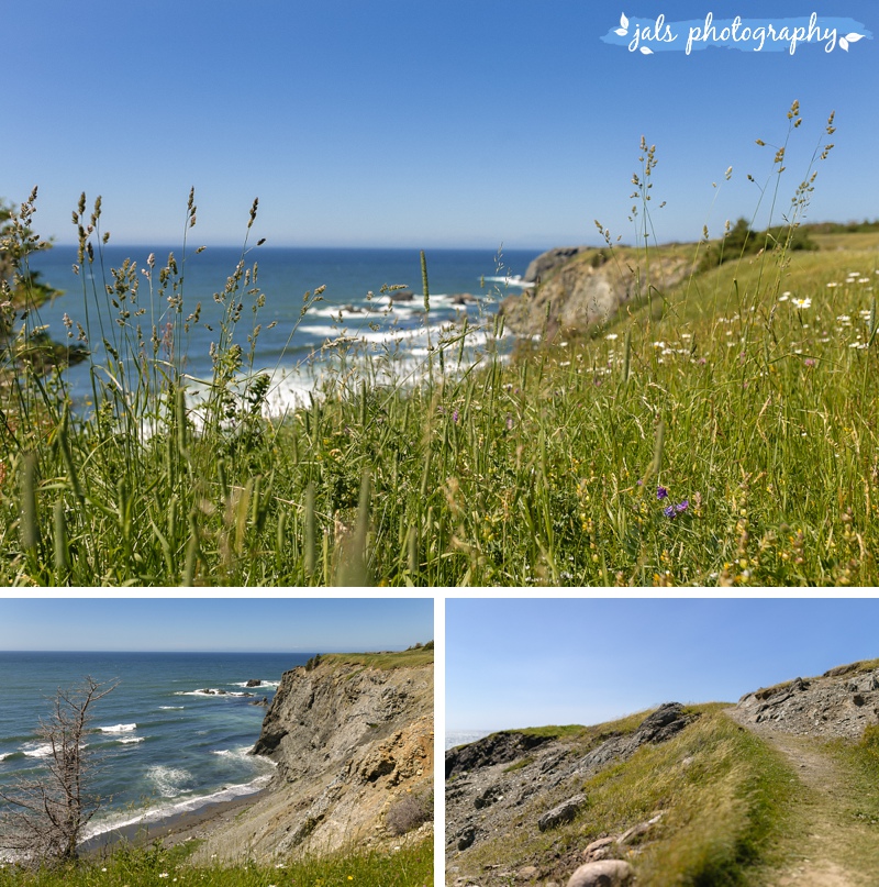 jals - gros morne elopement_0010.jpg