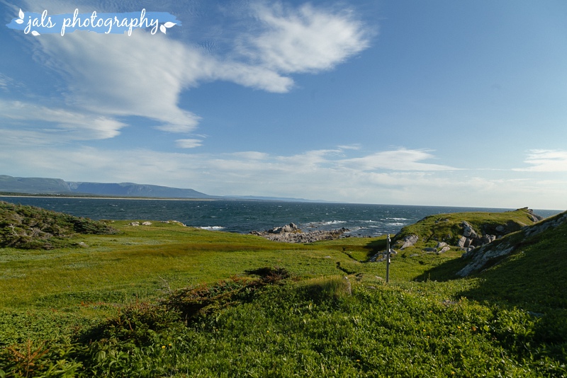 jals - gros morne elopement_0016.jpg