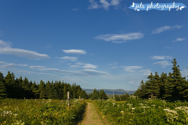 jals - gros morne elopement_0021.jpg