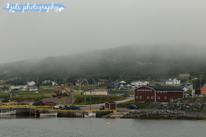 jals - gros morne elopement_0025.jpg