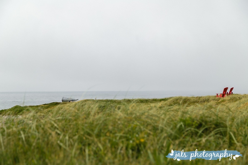 jals - gros morne elopement_0026.jpg