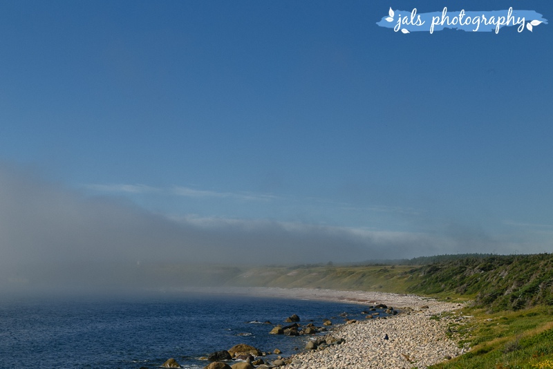 jals - gros morne elopement_0033.jpg