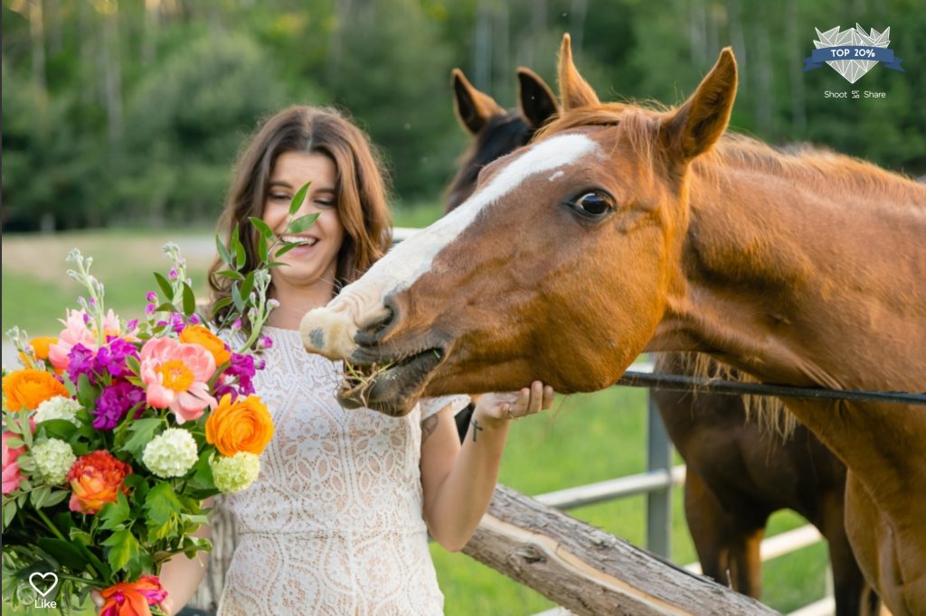 A horse going after Mariah's Flowers at the Whispering Springs Elopement - Styled Wedding/Fashion