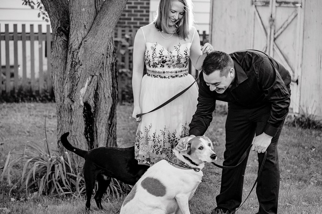 engaged couple with their dogs
