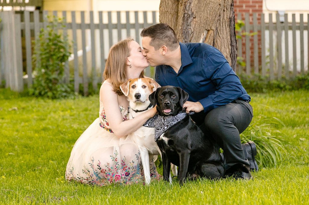 family photograph with dogs