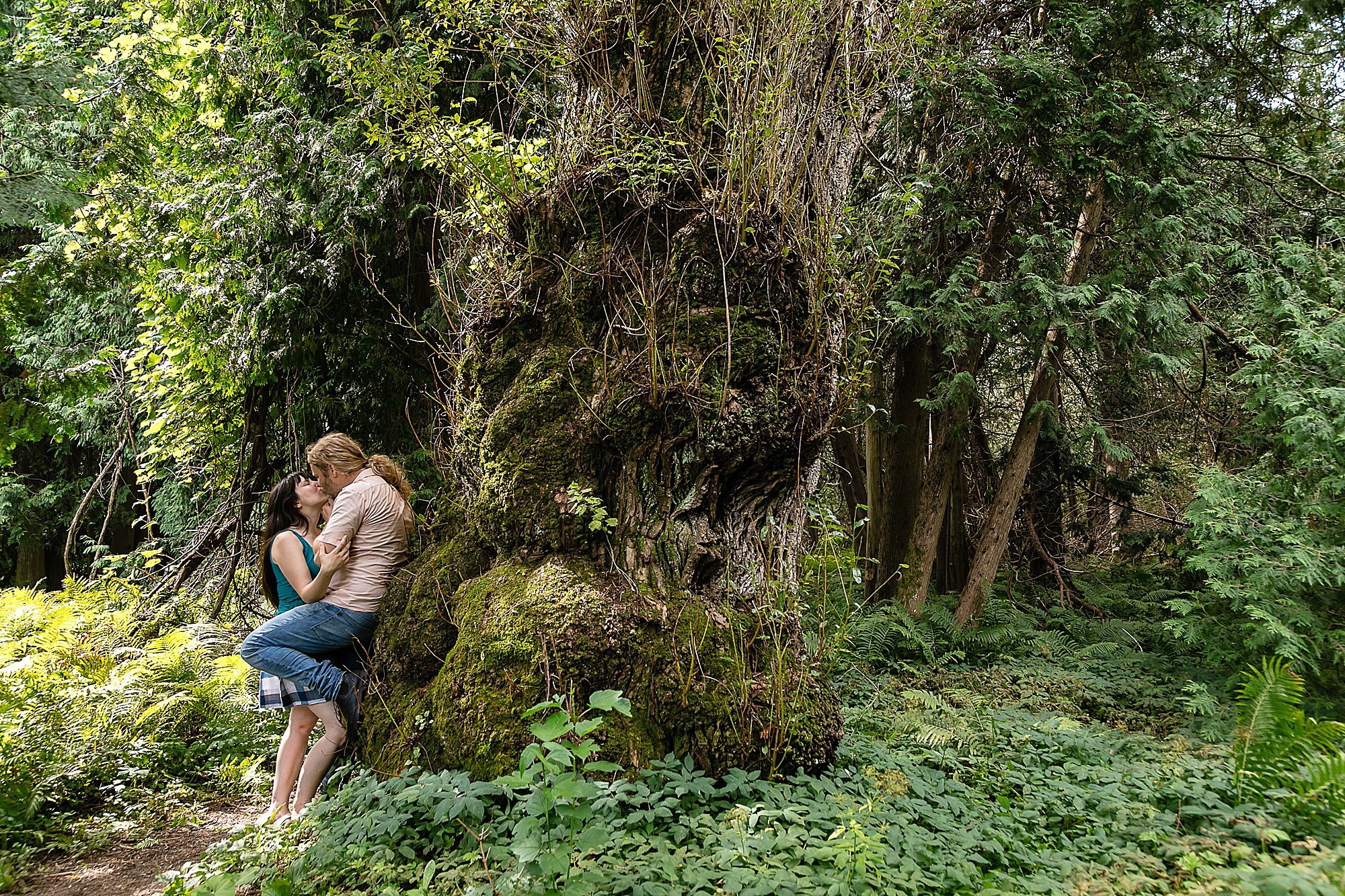 greenwood conservation area couple kissing by an old tree