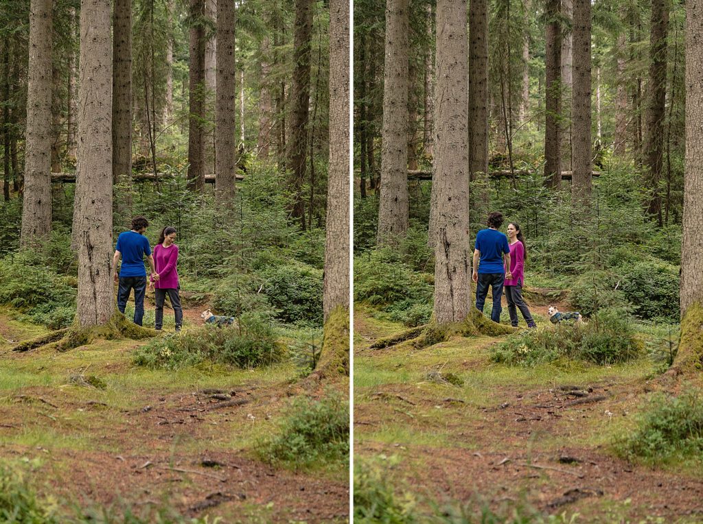 Forest portraits with a couple and their dog