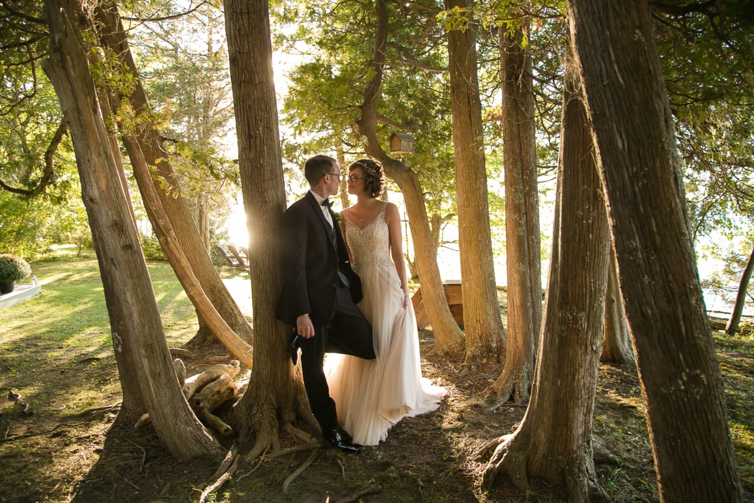 Cottage forest wedding in Prince Edward County