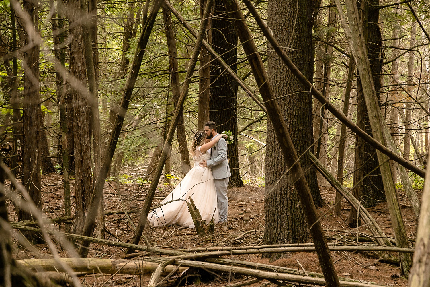 wedding photos in the fallen trees at whispering springs